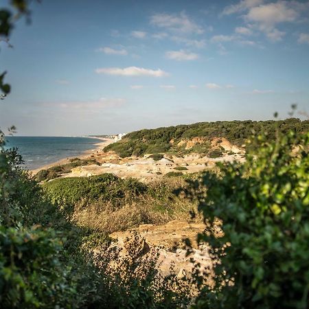 Vacationers Refuge Panzió Anzio Kültér fotó